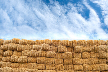 Blue sky behind dried baled hay. Dry straw bales and agricultural by-products. Yellow straw bales...