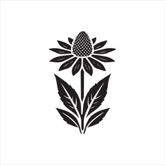 black and white flowers