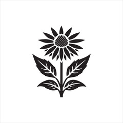 black and white flower vector