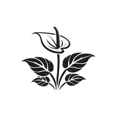 leaves isolated on white