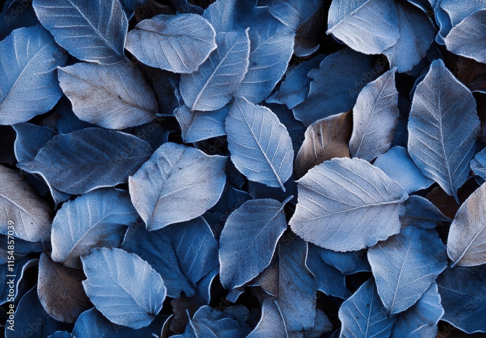 Poster a close-up view of blue-tinted leaves displaying intricate textures and varied shapes on a dark back