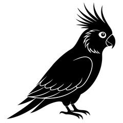 Black Parrot Silhouette Illustration for Bird and Animal Designs