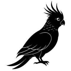 parrot on a branch
