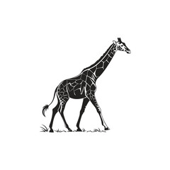giraffe vector art and illustration
