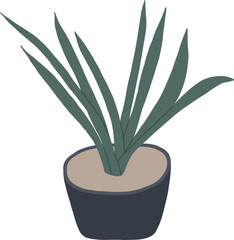 Hand-Drawn of Tequila Agave Illustration