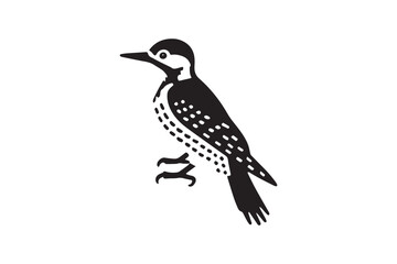 Fototapeta premium simple black an white woodpecker vector silhouette isolated on a white background