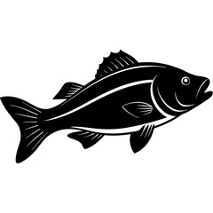 Bass Silhouette On White Background