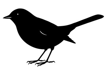 Robin bird silhouette vector
