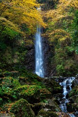 美しい紅葉を背景にした豪快な滝
