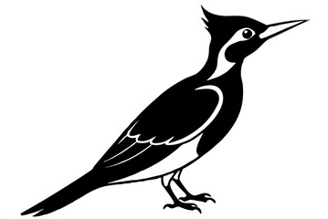 Woodpecker bird silhouette vector