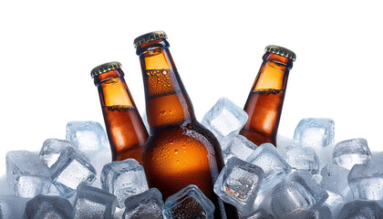Chilled beer bottles nestled in ice, perfect for refreshing summer gatherings.