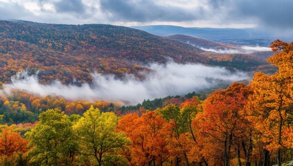 Breathtaking Autumn Landscape with Vibrant Foliage, Fog Rolling Over Mountains and Lush Valley Under Dramatic Sky in Appalachian Region