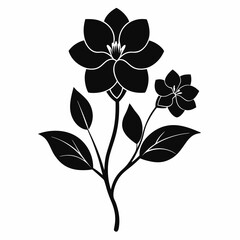 Blooming Beauty black silhouette vector