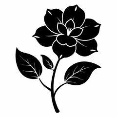 Blooming Beauty black silhouette vector