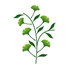 green leaves isolated on white background