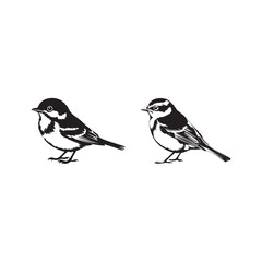 Bird icon, silhouette, logo on white background
