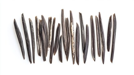 Wild Rice (Zizania): A collection of long, slender wild rice grains in dark brown to black hues, placed on an isolated white background. 