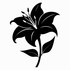 Lily Serenity black silhouette vector