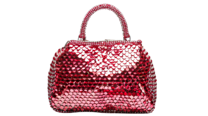 Elegant Sequined Purse on transparent background PNG.