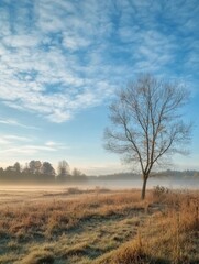 Lone Tree in Field