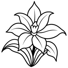 Orchid Oasis line art art vector