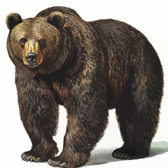 Fototapeta premium bear clip art, clip art concept