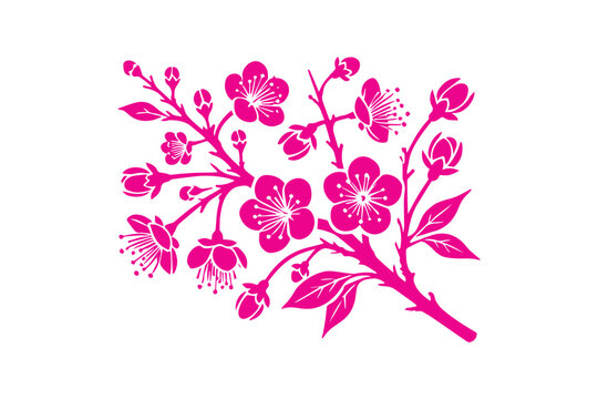 pink cherry blossom branch on white clip art preview