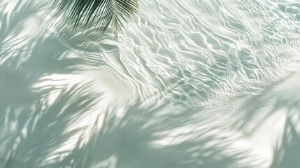 aerial beach abstract composition, crystalline water ripples, soft sand texture, delicate palm frond shadows, minimal coastal scene, ethereal aqua tones, peaceful beach background, panoramic format