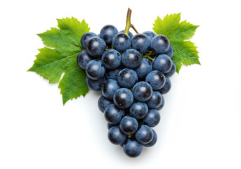 Fototapeta premium Blue grape cluster with leaves isolated on white background