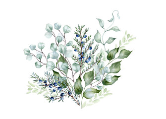 Watercolor bunch of juniper and eucalyptus illustration in sage green isolated. Delicate greenery branches holly and wavy twigs painted. Foliage in pastel tones hand drawn for design nature packaging.