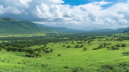 Fototapeta premium A large field of grass with a few trees in the background