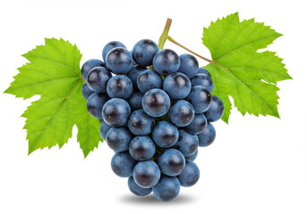 Fototapeta premium Blue grape cluster with leaves isolated on white background