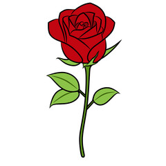 A sprig of red rose isolated on a white background