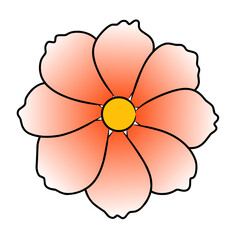 Flower isolated on white