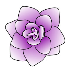 Purple flower isolated on white