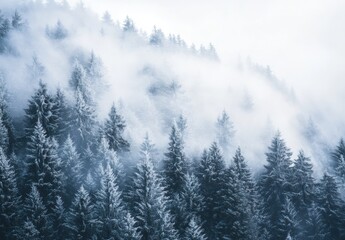 Enchanting Misty Forest Scene in Winter with Snow-Covered Pine Trees Surrounded by Ethereal Fog Creating a Calm and Serene Atmosphere in Nature