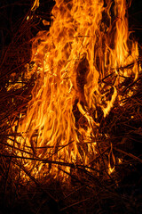 Ciepło ogniska w wieczornym krajobrazie  © KrólestwoNauki