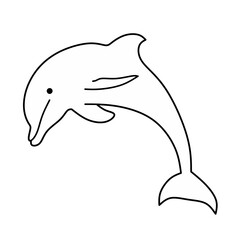 Dolphin jumping isolated on white