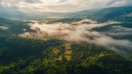 Fototapeta premium Misty Mountain Valley Landscape. Scenic View of Green Forest and Valley.