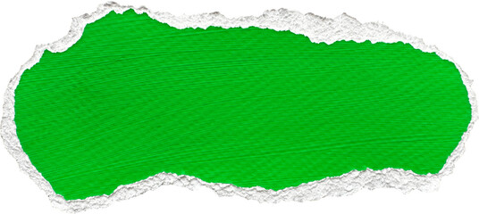 Green and White Painted Ripped Paper Piece