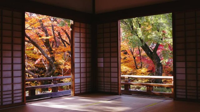 Beautiful Kyoto autumn red leaves