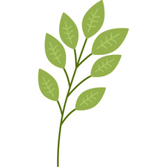 leaf design element on transparent background