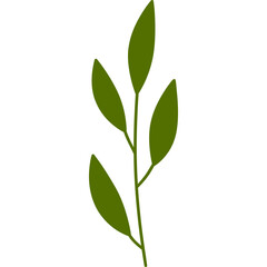 leaf design element on transparent background