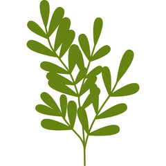 leaf design element on transparent background