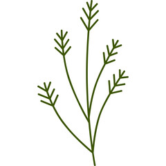 leaf design element on transparent background