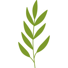 leaf design element on transparent background