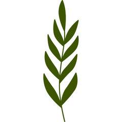 leaf design element on transparent background