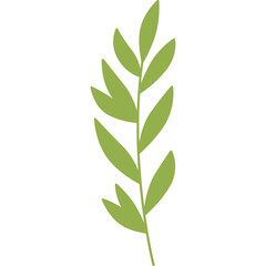 leaf design element on transparent background