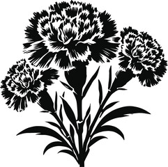 Black silhouettes of carnation flowers vector illustration