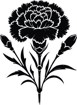 black carnation flower silhouette on white clip art preview
